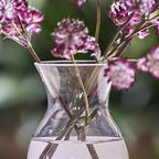 CHIVE ‘George’ Glass Bottle Flower Vases — Set of 6 — Small, Elegant Clear Glass Bud Vases — Bulk Pack for Home Decor & Table Centerpieces — Shape 4 (Oval, 4” Tall, 3” Wide)