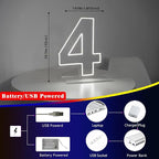 Number 4 Neon Sign for Birthday, 16.54" Cool White USB Battery Powered One Neon Sign for Party Wedding Anniversary Decor Light Sign (Number 4)