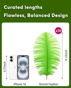 NEWONG 30pcs Fruit Green Ostrich Feathers Natural Bulk 9-12inch(23-30cm) Vase Craft Wedding Home Party Centerpieces Christmas Day Decoration