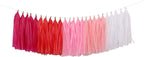 Fonder Mols Tassel Garland DIY Kit (25pcs, Pink Ombre) - Balloon Tail Banner - Bachelorette Party & Baby Shower Decorations
