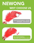 NEWONG 30pcs red Ostrich Feathers Natural Bulk 8-10inch(20-25cm) Vase Craft Wedding Home Party Centerpieces Christmas Day Decoration