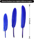 FeelfunFeather 120pcs Blue Goose Cochettes Feather Natural Bulk 4-6 inch 10-15cm for Wedding Party Christmas Decorations DIY Crafts Goose Cochettes Feather
