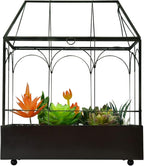 Large Tall Glass Plant Terrarium – House Succulent Terrarium Kit with Lip and Tray Glass Greenhouse Terrarium for Plant 9.5”X5.7”X11.4”