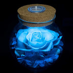 Preserved Real Roses with Colorful Mood Light Wishing Bottle,Eternal Rose，Never Withered Flowers, Christmas Anniversary Valentine's Mother's Day,a Gifts for Women 4.3inch 1pcs（Light Blue）