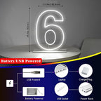 Number 6 Neon Sign for Birthday, 16.54" Cool White USB Battery Powered Led Neon Sign for Party Wedding Anniversary Decor Light Sign (Number 6)