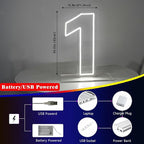 Number 1 Neon Sign for First Birthday, 16.54" Cool White USB Battery Powered One Neon Sign for Party Wedding Anniversary Decor Light Sign (Number 1)