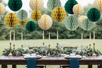 12pcs Sage Green and Gold Paper Honeycomb Balls,6" & 10" Hanging Tissue Pom poms for Birthday Party Decoration