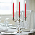 14 Pack Tall Red Taper Candles - 10 Inch Red Dripless, Unscented Dinner Candle - Paraffin Wax with Cotton Wicks - 8 Hour Burn Time.