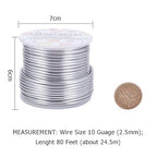 BENECREAT 10 Gauge Jewelry Craft Aluminum Wire 80 Feet Bendable Metal Sculpting Wire for Christmas Craft Floral Model Skeleton Making (Silver, 2.5mm)