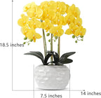 Orchid Artificial Flowers with White Vase Large Silk Faux Phalaenopsis Flowers for Dining Room Table Floral Centerpieces Indoor Decoration,Yellow