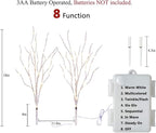 Hairui Lighted Birch Branches Battery Operated 70L 18IN Warm White and Multi Color Fairy Lights 8 Function for Halloween Home Christmas Decor