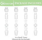 Modern Clear Glass Bud Vase Bulk Set: Glasseam 16Pcs Small Mini Flower Centerpieces Vases Handmade Decorative Cute Short Window Corner Home Decor for Wedding Reception Dining Table Single Rose
