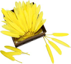 FeelfunFeather 120pcs Yellow Goose Cochettes Feather Natural Bulk 4-6 inch 10-15cm for Wedding Party Christmas Halloween Decorations DIY Crafts Goose Cochettes Feather