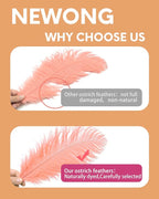 NEWONG 30pcs Rouge Pink Ostrich Feathers Natural Bulk 8-10in（20-25cm） Vase Craft Wedding Home Party Centerpieces Christmas Day Decoration