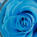 Preserved Real Roses with Colorful Mood Light Wishing Bottle,Eternal Rose，Never Withered Flowers, Christmas Anniversary Valentine's Mother's Day,a Gifts for Women 4.3inch 1pcs（Light Blue）