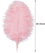 12pcs Natural Lotus Pink Ostrich Feathers 12-14inch (30-35cm) for Wedding Party Centerpieces，Flower Arrangement and Home Decoration.
