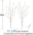 Fudios Lighted Birch Branches with 70 Multicolor LED Fairy Lights 18in Battery Operated, Lit White Twig Branches Color Changing Lights for Christmas Party Decoration