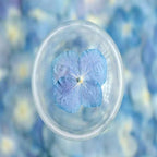 48 Pcs Dried Pressed Flowers for Resin DIY Art Crafts Natural Dry Hydrangea Floral Epoxy Jewelry Real Flower Decor Cakes Phone Cases Candles Handmade Soap Hydrangea