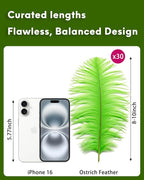 NEWONG 30pcs Fruit Green Ostrich Feathers Natural Bulk 8-10inch(20-25cm) Vase Craft Wedding Home Party Centerpieces Christmas Day Decoration