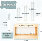 Rooted in Grace: Plant Propagation Stations: Plant Cutting Holder w/ 3 Glass Propagation Vases, Unique & Encouraging Christian Gifts for Women, Faith-Inspired Home Decor