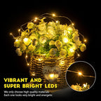 Brightown 24 Pack Fairy Lights Battery Operated String Lights - 7 ft 20 LED Mini String Lights Waterproof Silver Wire Firefly Lights for Vases Mason Jars DIY Crafts Plants Table Centerpieces Wedding