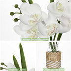 White Orchids Artificial Flowers with Vase, Small Faux Orchid Arrangement Fake Flower in Woven Glass Vase Small White Centerpieces for Kitchen Dining Room Tables Bathroom Nightstand Decor