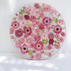 AHTONG 14 Types Pink Dried Pressed Flowers for Craft, Leaf Plant Herbarium for Resin Molds Jewelry Making Floral Decors (Peach Fuzz)