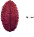 Ballinger Big Burgundy Ostrich Feathers - 24Pcs 12-14inch Wine Red Feathers for Party Centerpieces, Flower Arrangement and Home Decor