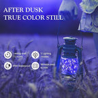 Aogist 50 Pack Fairy Lights 3 Modes 7ft 20 LED Waterproof,Battery Operated Silver Wire Firefly Starry Moon Mini String Lights for Mason Jars Christmas DIY Crafts Wedding Party Bedroom,Blue