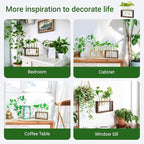 Ivolador Plant Propagation Station Terrariumin Wall Test Tube Vases Bud Tabletop Glass Wooden Stand with 5 Propagation Tubes for Propagating Hydroponic Plants Home Garden Wedding Decoration-Brown