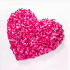 1000Pieces Rose Petals, Artificial Flower Petals Fake Rose Petals for Romantic Night,Wedding,Proposal Anniversary Flower Decorations(Peach Gradient)