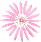 FeelfunFeather 120pcs Goose Cochettes Feather Natural Bulk 4-6 inch 10-15cm for Wedding Party Christmas Decorations DIY Crafts Goose Cochettes Feather,Pink