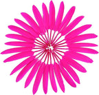 FeelfunFeather 120pcs Hot Pink Goose Cochettes Feather Natural Bulk 4-6 inch 10-15cm for Wedding Party Christmas Decorations DIY Crafts Goose Cochettes Feather