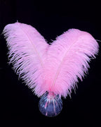 Happy Feather 16-18 inch Pink Ostrich Feathers Craft for Wedding Party Centerpieces Home Decoration DIY Craft Pack of 10