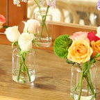 Glass Bud Vases Set of 24, Clear Flower Vase for Centerpieces, Small Vases for Flowers, Decor Centerpiece for Bathroom, Decorative Vases for House Warming