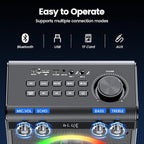 Karaoke Machine with 2 Wireless Microphones, Portable Bluetooth Speaker for Adults Kids with Bass Treble Echo PA System with Remote,LED Light, Supports TF Card,USB,AUX in,TWS,FM,REC for Party