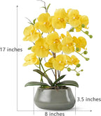 Orchid Artificial Flowers with Gray Vase Large Silk Faux Phalaenopsis Flowers for Dining Room Table Floral Centerpieces Indoor Decoration,Yellow