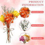 10/12/24 Pack Dried Flowers for Vase Various Mini Bouquet Dried Small Wildflowers Natural Real Flowers Bulk for Crafts DIY Wedding Decor (12, Flowers Blooming1)