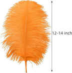 Ballinger Orange Large Ostrich Feathers - 24Pcs 12-14inch Big Feathers for Crafts,Wedding Party Centerpieces and Halloween Home Decor