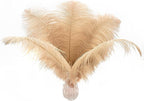Ballinger Champagne Large Ostrich Feathers - 12Pcs 14-16inch Large Boho Feathers for Vase,Wedding Party Centerpieces and Holiday Home Decor