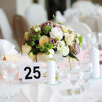 Tuanse Table Numbers 1-25 Acrylic Double Side Numbered Table Tents Plastic Restaurant Wedding Numbers Cards Signs for Party Banquets Wedding Reception(White, Black)