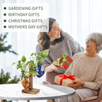 Plants Propagation Stations Plant Terrarium Kit Glass Planters for Indoor Plants House Plant Accessories Gift for Women - 4 Love Bulb Vase