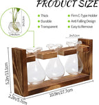Plant Propagation Station Plant Terrarium Unique Birthday Gifts for Women Home Office Decor Planter with Wooden Stand - 3 Bulb Glass Vase