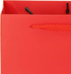 Red Paper Gift Bag Small Square Bottom Kraft Paper Bags with Handles for Wedding Baby Shower Birthday Party (Red, 8 x 8 x 8 in, 10 CT)