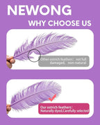 NEWONG 30pcs Light Purple Ostrich Feathers Natural Bulk 11-14inch(28-35cm) Vase Craft Wedding Home Party Centerpieces Christmas Day Decoration
