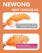 NEWONG 30pcs Orange Ostrich Feathers Natural Bulk 11-14inch(28-35cm) Vase Craft Wedding Home Party Centerpieces Christmas Day Decoration