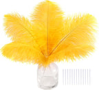 SOGUGOM Gold Craft Ostrich Feathers - 30PCS 6-8 inch Ostrich Feather Kit for Kindergarten Crafts, Dream Catchers and Mardi Gras(Gold)