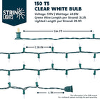 Joiedomi Clear Christmas String Lights Indoor,300(2x150) Mini Warm White Fairy Light,62.4FT Lighting Decor for Patio Dorm Classroom Bedroom Holiday Wedding Party Garland Birthday Festival,Green Wire