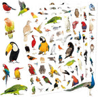 Bird Stickers 850 Count Tropical Bird Parrot Flamingo Peacock Hummingbirds Stickers Animal Party Favors Gifts Sticky Decor for Scrapbook Calendar Planner Gift Wrap Decor