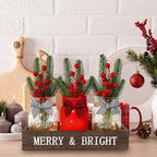 DIYDEC 3PCS Christmas Mason Jars 3*5Inch lighting Painted Xmas Tiered Tray Decorative Jars with Wood Tray &Artificial Flowers Wishing Bottles for Winter Holiday Home Table Centerpiece Decor Gift (Red)
